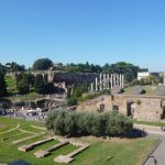 Image of Looking across to Palatine Hill from the Colosseum, Rome