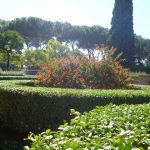 Image of Garden's Palatine Hill, Rome