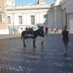 Image of The simplicity of a donkey at St Peters Square, Rome